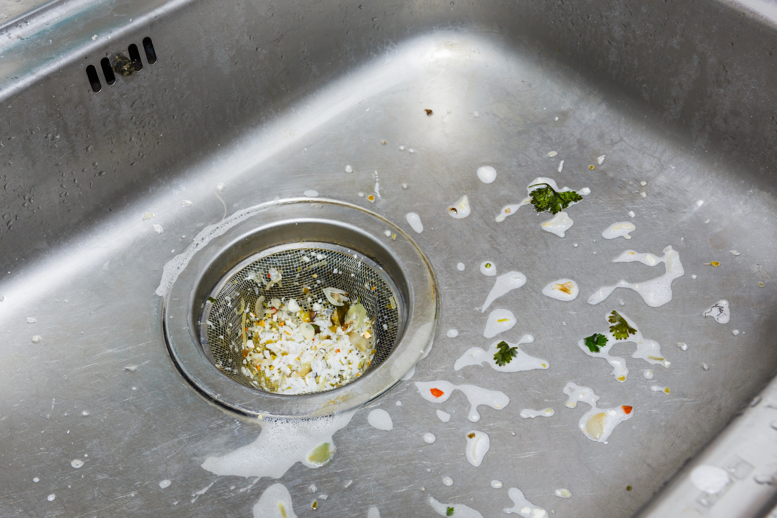 Kuchenabfluss Verstopft Was Tun Dreis